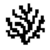 Coral Protocol (CORAL)