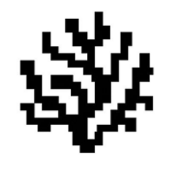 Coral Protocol (CORAL)