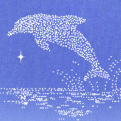 Dolphin (POD)