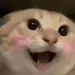 哈基米 (Hajimi) (œ�ş�Ǳ�)