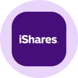 iShares Core S&P MidCap ETF (Ondo Tokenized ETF) (IJHON)