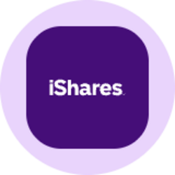 iShares Semiconductor ETF (Ondo Tokenized) (SOXXON)
