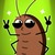 KoKoK The Roach (KOKOK)