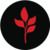 MarsMi (MARSMI)