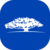 Nest WisdomTree Vault (NWISDOM)