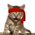 Red Kitten Crew (RKC)