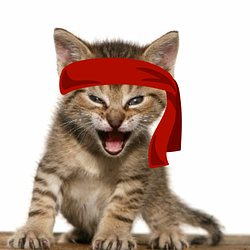 Red Kitten Crew (RKC)