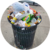 Trash Coin (TRASH)