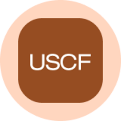 United States Oil Fund (Ondo Tokenized) (USOON)