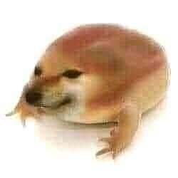 what the dog doing? (ƈ�Ǌ�ň�Ǜ�)